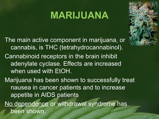 MARIJUANA
The main active component in marijuana, or
cannabis, is THC (tetrahydrocannabinol).
Cannabinoid receptors in the brain inhibit
adenylate cyclase. Effects are increased
when used with EtOH.
Marijuana has been shown to successfully treat
nausea in cancer patients and to increase
appetite in AIDS patients
No dependence or withdrawal syndrome has
been shown.

 