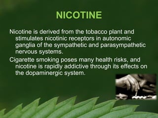 NICOTINE
Nicotine is derived from the tobacco plant and
stimulates nicotinic receptors in autonomic
ganglia of the sympathetic and parasympathetic
nervous systems.
Cigarette smoking poses many health risks, and
nicotine is rapidly addictive through its effects on
the dopaminergic system.

 