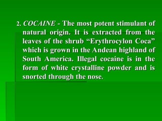 2.
2. COCAINE
COCAINE -
- The most potent stimulant of
The most potent stimulant of
natural origin. It is extracted from the
natural origin. It is extracted from the
leaves of the shrub “Erythrocylon Coca”
leaves of the shrub “Erythrocylon Coca”
which is grown in the Andean highland of
which is grown in the Andean highland of
South America. Illegal cocaine is in the
South America. Illegal cocaine is in the
form of white crystalline powder and is
form of white crystalline powder and is
snorted through the nose
snorted through the nose.
.
 