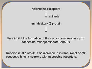 Adenosine receptors
activate
an inhibitory G protein
thus inhibit the formation of the second messenger cyclic
adenosine monophosphate (cAMP).
Caffeine intake result in an increase in intraneuronal cAMP
concentrations in neurons with adenosine receptors.
 