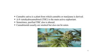  Cannabis sativa is a plant from which cannabis or marijuana is derived.
 Δ-9- tetrahydrocannabinol (THC) is the main active euphoriant.
 Sometimes, purified THC also is abused.
 Cannabinoids usually are smoked but also can be eaten.
56
 