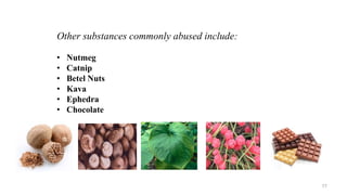 Other substances commonly abused include:
• Nutmeg
• Catnip
• Betel Nuts
• Kava
• Ephedra
• Chocolate
77
 