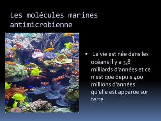 Les molécules marines
antimicrobienne
 La vie est née dans les
océans il y a 3,8
milliards d'années et ce
n'est que depuis 400
millions d'années
qu'elle est apparue sur
terre
 