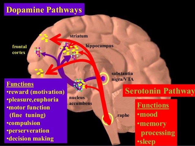 Substance use disorder 2nd part 14