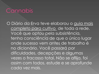 Cannabis O Diário da Erva teve elaborou o guia mais completo para cultivo  de toda a rede. Você que optou pela subsistência, tenha consciência de que o único lugar onde sucesso vem antes de trabalho é no dicionário. Você passará por dificuldades, decepções e algumas vezes o fracasso total. Não se aflija, foi assim com todos, estude e se aprofunde cada vez mais.