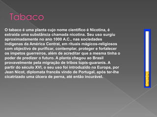 Tabaco O tabaco é uma planta cujo nome científico é Nicotina, é extraída uma substância chamada nicotina. Seu uso surgiu aproximadamente no ano 1000 A.C., nas sociedades indígenas da América Central, em rituais mágicos-religiosos com objectivo de purificar, contemplar, proteger e fortalecer os ímpetos guerreiros, além de acreditar que a mesma tinha o poder de predizer o futuro. A planta chegou ao Brasil provavelmente pela migração de tribos tupis-guaranis. A partir do século XVI, o seu uso foi introduzido na Europa, por Jean Nicot, diplomata francês vindo de Portugal, após ter-lhe cicatrizado uma úlcera de perna, até então incurável.