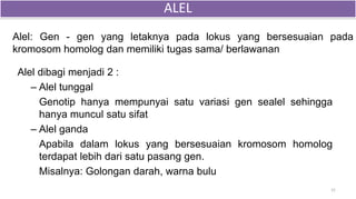 Alel: Gen - gen yang letaknya pada lokus yang bersesuaian pada
kromosom homolog dan memiliki tugas sama/ berlawanan
15
Alel dibagi menjadi 2 :
– Alel tunggal
Genotip hanya mempunyai satu variasi gen sealel sehingga
hanya muncul satu sifat
– Alel ganda
Apabila dalam lokus yang bersesuaian kromosom homolog
terdapat lebih dari satu pasang gen.
Misalnya: Golongan darah, warna bulu
ALEL
 