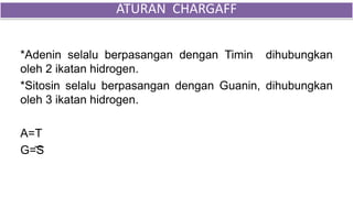 *Adenin selalu berpasangan dengan Timin dihubungkan
oleh 2 ikatan hidrogen.
*Sitosin selalu berpasangan dengan Guanin, dihubungkan
oleh 3 ikatan hidrogen.
A=T
G=S
ATURAN CHARGAFF
 