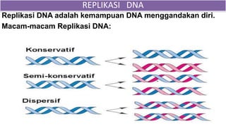 Replikasi DNA adalah kemampuan DNA menggandakan diri.
Macam-macam Replikasi DNA:
22
REPLIKASI DNA
 