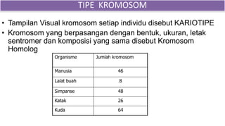 • Tampilan Visual kromosom setiap individu disebut KARIOTIPE
• Kromosom yang berpasangan dengan bentuk, ukuran, letak
sentromer dan komposisi yang sama disebut Kromosom
Homolog
Organisme Jumlah kromosom
Manusia 46
Lalat buah 8
Simpanse 48
Katak 26
Kuda 64
TIPE KROMOSOM
 