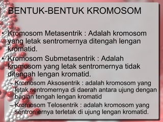 BENTUK-BENTUK KROMOSOM
• Kromosom Metasentrik : Adalah kromosom
yang letak sentromernya ditengah lengan
kromatid.
• Kromosom Submetasentrik : Adalah
kromosom yang letak sentromernya tidak
ditengah lengan kromatid.

– Kromosom Aksosentrik : adalah kromosom yang
letak sentromernya di daerah antara ujung dengan
bagian tengah lengan kromatid
– Kromosom Telosentrik : adalah kromosom yang
sentromernya terletak di ujung lengan kromatid.

 