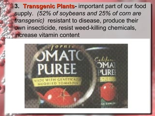 3. Transgenic Plants- important part of our food
Plants
supply. (52% of soybeans and 25% of corn are
transgenic) resistant to disease, produce their
own insecticide, resist weed-killing chemicals,
increase vitamin content

Transgenic tomato plants containing genes for viral resistance and
healthier than those without the resistant genes (right)

 