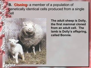 B. Cloning- a member of a population of
Cloning
genetically identical cells produced from a single
cell
The adult sheep is Dolly,
the first mammal cloned
from an adult cell. The
lamb is Dolly’s offspring,
called Bonnie.

 