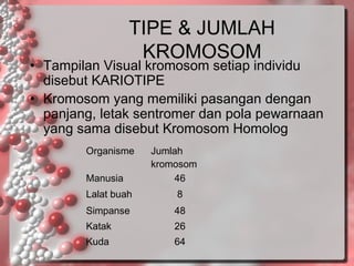 TIPE & JUMLAH
KROMOSOM

• Tampilan Visual kromosom setiap individu
disebut KARIOTIPE
• Kromosom yang memiliki pasangan dengan
panjang, letak sentromer dan pola pewarnaan
yang sama disebut Kromosom Homolog
Organisme
Manusia

Jumlah
kromosom
46

Lalat buah

8

Simpanse

48

Katak

26

Kuda

64

 