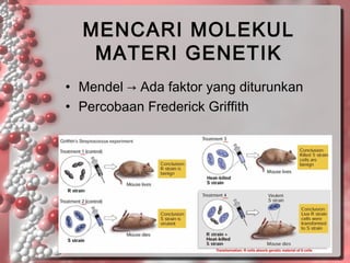 MENCARI MOLEKUL
MATERI GENETIK
• Mendel → Ada faktor yang diturunkan
• Percobaan Frederick Griffith

 
