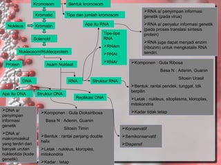 Kromosom
Kromatid
Nukleus

Bentuk kromosom
RNA a/ penyimpan informasi
genetik (pada virus)

Tipe dan jumlah kromosom
Apa itu RNA

Kromatin

RNA a/ penyalur informasi genetik
(pada proses translasi sintesis
protein)

Tipe-tipe
RNA

Solenoid

RNA juga dapat menjadi enzim
(ribozim) untuk mengkatalis RNA
sendiri.

RNAm
Nukleosom/Nukleoprotein
Protein

RNAt
RNAr

Asam Nukleat

Komponen : Gula Ribosa
Basa N : Adenin, Guanin

DNA
Apa itu DNA

DNA a/
penyimpan
informasi
genetik
DNA a/
makromolekul
yang terdiri dari
banyak urutan
nukleotida (kode
genetik)

RNA

Sitosin Urasil

Struktur RNA

Bentuk: rantai pendek, tunggal, tdk
berpilin

Struktur DNA

Replikasi DNA

Komponen : Gula Dioksiribosa

Letak : nukleus, sitoplasma, kloroplas,
mitokondria
Kadar tidak tetap

Basa N : Adenin, Guanin
Sitosin Timin
Bentuk : rantai panjang double
helix
Letak : nukleus, kloroplas,
mitokondria
Kadar : tetap

Konservatif
Semikonservatif
Dispersif

 