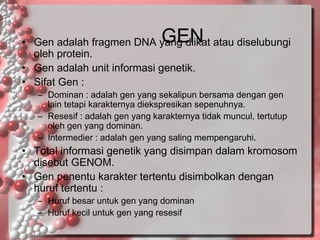 GEN

• Gen adalah fragmen DNA yang diikat atau diselubungi
oleh protein.
• Gen adalah unit informasi genetik.
• Sifat Gen :
– Dominan : adalah gen yang sekalipun bersama dengan gen
lain tetapi karakternya diekspresikan sepenuhnya.
– Resesif : adalah gen yang karakternya tidak muncul, tertutup
oleh gen yang dominan.
– Intermedier : adalah gen yang saling mempengaruhi.

• Total informasi genetik yang disimpan dalam kromosom
disebut GENOM.
• Gen penentu karakter tertentu disimbolkan dengan
huruf tertentu :
– Huruf besar untuk gen yang dominan
– Huruf kecil untuk gen yang resesif

 