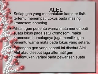 ALEL

• Setiap gen yang menentukan karakter fisik
tertentu menempati Lokus pada masing
kromosom homolog.
• Misal : gen penentu warna mata menempati
suatu lokus pada satu kromosom, maka
kromosom homolognya juga memiliki gen
penentu warna mata pada lokus yang setara.
• Pasangan gen yang seperti ini disebut Alel.
Alel atau disebut juga alternatif gen
menentukan variasi pada pewarisan suatu
sifat.

 