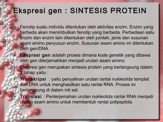 Ekspresi gen : SINTESIS PROTEIN
• Fenotip suatu individu ditentukan oleh aktivitas enzim. Enzim yang
berbeda akan menimbulkan fenotip yang berbeda. Perbedaan satu
enzim dan enzim lain ditentukan oleh jumlah, jenis dan susunan
asam amino penyusun enzim. Susunan asam amino ini ditentukan
oleh gen/DNA
• Ekspresi gen adalah proses dimana kode genetik yang dibawa
oleh gen diterjemahkan menjadi urutan asam amino.
• Ekspresi gen merupakan sintesis protein yang berlangsung dalam
2 tahap yaitu :
• Transkripsi : yaitu penyalinan urutan rantai nukleotida templat
dari DNA untuk menghasilkan satu rantai RNA. Proses ini
berlangsung di dalam inti sel.
• Translasi : Penterjemahan urutan nukleotida rantai RNA menjadi
urutan asam amino untuk membentuk rantai polipeptida.

 