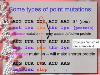 Some types of point mutations
5’ AUG UUA UUA ACU AAG 3’(RNA)
met leu leu thr lys (protein)
• A missense mutation -- may cause defective protein

AUG UUA UUU ACU AAG
met leu phe thr lys

Changes ‘sense’ of
one amino-acid

• A nonsense mutation -- will make shorter protein

AUG UUA UGA ACU AAG
met leu stop .
.

 
