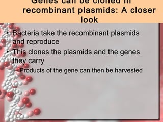 Genes can be cloned in
recombinant plasmids: A closer
look
• Bacteria take the recombinant plasmids
and reproduce
• This clones the plasmids and the genes
they carry
– Products of the gene can then be harvested

 