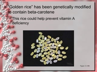 • “Golden rice” has been genetically modified
to contain beta-carotene
– This rice could help prevent vitamin A
deficiency

Figure 12.18B

 