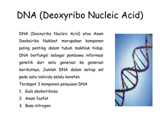 DNA (Deoxyribo Nucleic Acid)
DNA (Deoxyribo Nucleic Acid) atau Asam
Deoksiribo Nukleat merupakan komponen
paling penting dalam tubuh makhluk hidup.
DNA berfungsi sebagai pembawa informasi
genetik dari satu generasi ke generasi
berikutnya. Jumlah DNA dalam setiap sel
pada satu individu selalu konstan.
Terdapat 3 komponen penyusun DNA
1. Gula deoksiribosa
2. Asam fosfat
3. Basa nitrogen
 