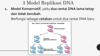 Substansi Genetika - Kelas 12 SMA - SMT 1 | PPTX