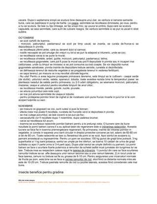 uscare. Dupa o saptamana snopii se scutura bine deasupra unui ziar, se vantura si ramane samanta
buna, care se pastreaza in pungi de hartie. La ceapa, semintele se recolteaza dimineata, pe roua, pentru
a nu se scutura. Se taie cu tija intreaga, se fac snopi mici, se usuca la umbra, dupa care se scutura
capsulele, sa iasa semintele, care sunt de culoare neagra. Se vantura semintele si se pun la uscat in strat
subtire.

OCTOMBRIE
- se scot cartofii de toamna;
- morcovii, patrunjelul, pastarnacul se scot pe timp uscat, se zvanta, se curata de frunze si se
depoziteaza in pivnita;
- se recolteaza ultimii ardei, care au devenit dulci si carnosi;
- rosiile necoapte se pot smulge din vrejuri cu tot si se pun la adapost si intuneric, unde se coc;
- se recolteaza varza si se pune la murat;
- se recolteaza vinetele, ardeii, guliile, morcovii, patrunjelul, pastarnacul, telina;
- se recolteaza gogonelele, care pot fi puse la murat sau pot fi depozitate in pivnita sau in incaperi mai
calduroase, unde cu timpul se inrosesc si se pot consuma ca rosii coapte. Se vor depozita numai
gogonelele sanatoase; pivnita inainte de depozitare trebuie aerisita, curatata si dezinfectata;
- se defriseaza terenul de resturile vegetale si se pregateste terenul in vederea fertilizarii;
- se sapa terenul, pe masura ce s-au recoltat ultimele legume;
- Nu uita! Pentru a avea legume proaspete primavara devreme, este timpul sa le cultivam - ceapa verde
(de stufat), usturoiul verde, salata, spanacul, loboda, toate acestea rezista bine la temperaturi joase: se
planteaza rasadul de salata pentru primavara, cu 2-3 udari obligatoriu; se seamana morcovii, patrunjelul,
mazarea, ceapa si usturoiul pentru recoltele timpurii de anul viitor;
- se recolteaza merele, perele, gutuile, nucile, prunele;
- se aduna porumbul care este copt;
- se mai pot aduna semintele de ceapa si loboda;
- pentru protejarea pomilor tineri de inghet si de rozatoare vom pune frunze moarte in jurul lor si le vom
acoperi tulpinile cu saci.

NOIEMBRIE
- pe masura ce gogosarii se coc, sunt culesi si pusi la borcan;
- sfecla rosie mai poate fi recoltata, curatata de frunzele verzi si depozitata in pivnita;
- se mai culege porumbul, se taie cocenii si se pun pe foc;
- zarzavaturile vor fi recoltate dupa 1 noiembrie, dupa caderea brumei;
- varza se recolteaza tot acum;
- toamna se scurteaza radacinile pomilor batrani pentru a le prelungi viata. O lucrare care da bune
rezultate la pomii batrani carora li s-au aplicat taieri de regenerare este si intinerirea radacinilor. Aceasta
lucrare se face fie in toamna premergatoare regenerarii, fie primavara, inainte de intrarea pomilor in
vegetatie, si consta in saparea unui sant circular in dreptul proiectiei coroanei pe sol, adanc de 60-80 cm
si lat de 60 cm. Toate radacinile se taie cu fierastraul de pomi si se scot. Apoi santul se acopera cu
pamant amestecat cu ingrasaminte. Pentru un pom se socotesc 150 kg gunoi de grajd bine putrezit, 3 kg
superfosfat si 1 kg sare potasica. santul se umple pe trei sferturi, se toarna 10 caldari de urina de grajd
subtiata cu apa (1 parte urina si 3-4 parti apa). Dupa udat santul se umple definitiv cu pamant. La pomii
batrani se face o scurtare foarte puternica a ramurilor de schelet astfel incat jumatate din lungimea lor se
taie. Trebuie insa sa respectam cateva reguli la taierea de intinerire: 1) punctul din care se face scurtarea
ramurilor trebuie sa se afle deasupra unor ramuri lacome sau a unei ramuri laterale; 2) in locul unde se
face taierea, ramura nu trebuie sa fie au groasa de 8-10 cm. Pentru asigurarea unei incarcaturi normale
de fructe pe pom, este bine sa se faca si rarirea ramurilor de rod, stiut fiind ca distanta normala intre ele
este de 10-20 cm. Trebuie pastrate ramurile de rod cu pozitie laterala, acestea fiind considerate cele mai
bune.

Insecte benefice pentru gradina

Afla mai multe despre:
plante perene, daunatori, in gradina, verde, negru, pete, casa din busteni, casa ecologica, covor, plante de gradina, pentru casa,covor
 