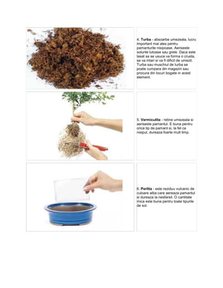 4. Turba - absoarbe umezeala, lucru
important mai ales pentru
pamanturile nisipoase. Aeriseste
solurile lutoase sau grele. Daca este
lasat sa se usuce va forma o crusta,
se va intari si va fi dificil de umezit.
Turba sau muschiul de turba se
poate cumpara din magazin sau
procura din locuri bogate in acest
element.




5. Vermiculita - retine umezeala si
aeriseste pamantul. E buna pentru
orice tip de pamant si, la fel ca
nisipul, dureaza foarte mult timp.




6. Perlita - este reziduu vulcanic de
culoare alba care aereaza pamantul
si dureaza la nesfarsit. O cantitate
mica este buna pentru toate tipurile
de sol.
 