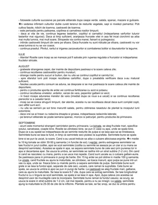 - foloseste culturile succesive pe parcele eliberate dupa ceapa verde, salata, spanac, mazare si gulioare.
�  n vederea infiintarii culturilor duble cureti terenul de resturile vegetale, sapi si nivelezi pamantul. Poti
cultiva fasole, ridichi de toamna, castraveti de toamna;
- este perioada pentru palisarea, copilirea si carnatirea rosiilor timpurii;
- daca ai vita de vie, continua legarea lastarilor, copilitul si carnatitul (indepartarea varfurilor tuturor
lastarilor mai vigurosi). Daca ai timp suficient, aranjeaza frunzele vitei in asa fel incat ciorchinii sa aiba
mai multa lumina, mai mult soare. Stropeste via contra manei, fainarii si putregaiului;
- intinde castravetii timpurii din sera pe sfoara. Daca frunzele nu sunt ridicate pe sfoara, castravetii nu vor
avea lumina si nu se vor coace;
- continua prasitul. Plivitul, raritul si irigarea zarzavaturilor si combaterea bolilor si daunatorilor la legume.

IULIE
- Atentie! Rosiile care incep sa se maneze pot fi salvate prin ruperea regulata a frunzelor si indepartarea
fructelor stricate.

AUGUST
- grabeste strangerea cepei, dar inainte de depozitare pastreaz-o la soare cateva zile;
- continua recoltarea castravetilor pentru muraturi;
- strange rosiile pentru sucuri si bulion, dar nu uita sa continui copilitul si carnitul lor;
- spre sfarsitul lunii poti incepe recoltarea cartofilor, dupa o prealabila verificare daca s-au maturat
suficient;
- fasolea uscata pentru consum se aduna, se despoaie si se mai pastreaza la soare cateva zile inainte de
depozitare;
- pentru o productie sporita de ardei vei continua fertilizarea cu azot si potasiu;
- continui recoltarea vinetelor, ardeilor, verzei de vara, pepenilor galbeni si verzi;
- in livezi incepe adunarea merelor de vara (imediat dupa ce roua s-a uscat) si se continua recoltarea
piersicilor si a caiselor tarzii;
- incep sa se coaca strugurii timpurii, dar atentie, acestia nu se recolteaza decat daca sunt complet copti,
caci altfel sunt acri;
- nu uita sa semeni pe sol bine maruntit salata, pentru obtinerea rasadului de plantat la inceputul lunii
octombrie;
- daca vrei sa ai hrean cu radacina dreapta si groasa, indeparteaza radacinile laterale;
- pe terenuri eliberate se poate semana spanac, morcov si patrunjel, pentru productia de primavara.

SEPTEMBRIE
- acum este momentul strangerii semintelor pentru primavara. La tomate, se aleg fructele mari, specifice
soiului, sanatoase, coapte bine. Rosiile se zdrobesc bine, se pun in vase cu apa, unde se spala bine.
Dupa ce s-au spalat se indeparteaza de pe seminte resturile de pulpa si se lasa apa sa se linisteasca.
Semintele bune se lasa la fund, in timp ce semintele seci plutesc la suprafata. Semintele bune se spala
bine si se pun la uscat, la soare. Cand s-au uscat trebuie sa aiba o culoare albicioasa-argintie. n medie
                                                                                                      �
la 10 kg tomate se obtin 30-50 g samanta ( in functie de soi). Laardei, pentru extragerea semintelor se
taie fructul in jurul coditei, apoi se scot semintele (codita cu seminte se aseaza pe un ziar si cu mana se
desprind semintele). Acestea se spala in apa, se separa semintele bune de cele seci prin punerea lor in
apa si decantarea apei. Se usuca la umbra, iar semintele se rasfira intr-un strat subtire (1-2 cm). Din cand
in cand se rascolesc cu mana, pentru a se usca mai repede. Cand sunt uscate au o culoare galben-aurie.
Se pastreaza pana in primavara in pungi de hartie. Din 15 kg ardei se pot obtine in medie 100 g samanta.
La vinete, cand fructele au ajuns la maturitate, se zdrobesc, se toaca marunt, apoi pulpa se pune intr-un
vas cu apa, unde se freaca bine cu mainile pentru a separa semintele de pulpa. Semintele bune sunt
grele si se lasa la fundul apei, separate de cele seci, usoare, care raman la suprafata. Cele bune se
spala, se usuca la umbra si apoi se pun in pungi de hartie. La castraveti se aleg fructele mari, galbene,
care au ajuns la maturitate. Se lasa la soare 6-7 zile, dupa care se extrag semintele. Se taie longitudinal
fructul si cu o lingura se scot semintele, se spala si se lasa in apa. Apoi, dupa cateva ore acestea se
desprind usor de mucilagiile care le inconjoara. Semintele bune raman la fundul vasului, se scurg, se
usuca la soare in strat subtire de 1-2 cm, cat mai repede, pentru a nu se innegri. La salata, semintele
ajung la maturitate la 25-30 de zile de la inflorire. Plantele se taie, se fac snop, se duc la umbra pentru
 