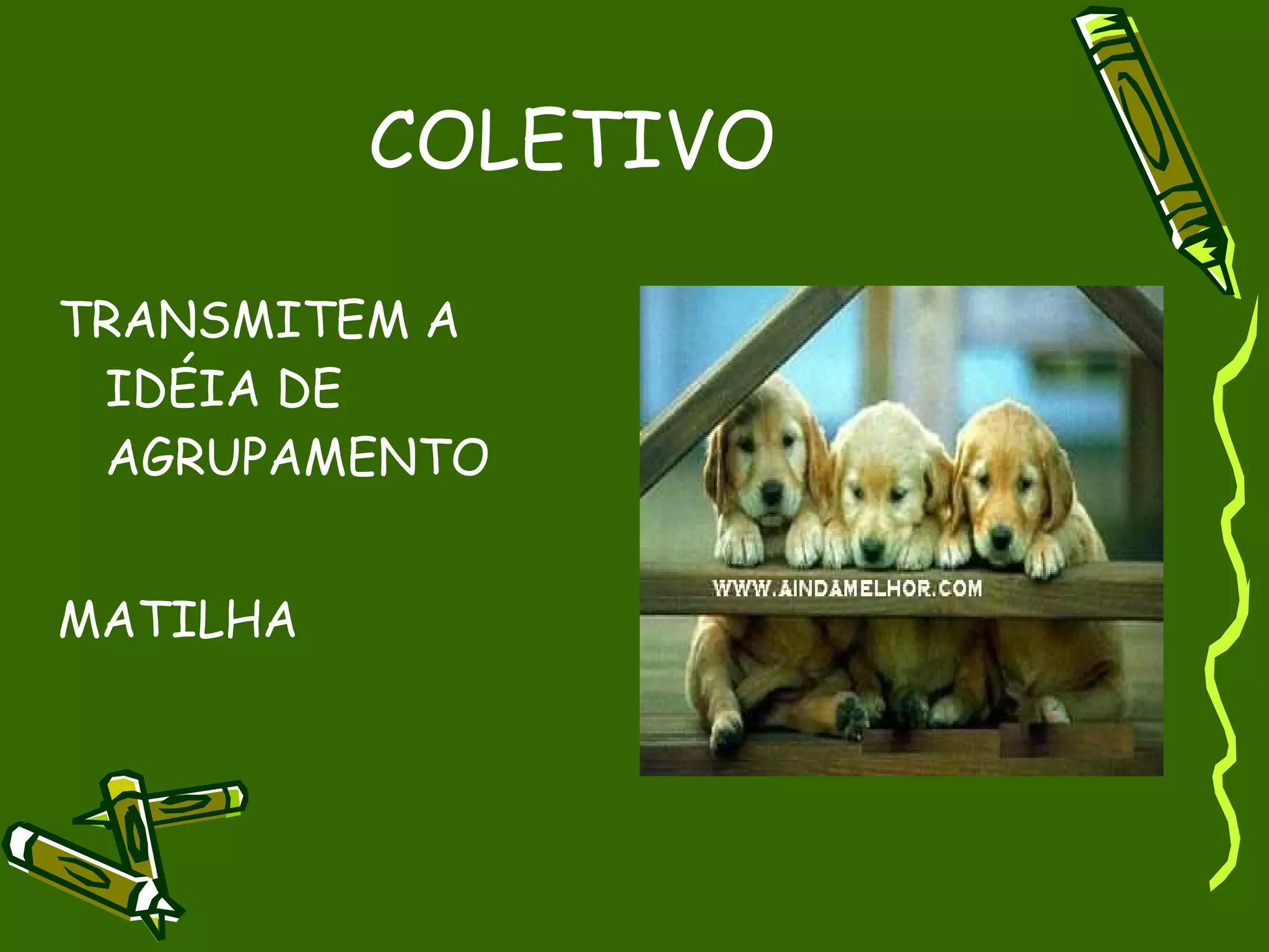 COLETIVO

TRANSMITEM A
 IDÉIA DE
 AGRUPAMENTO


MATILHA
 