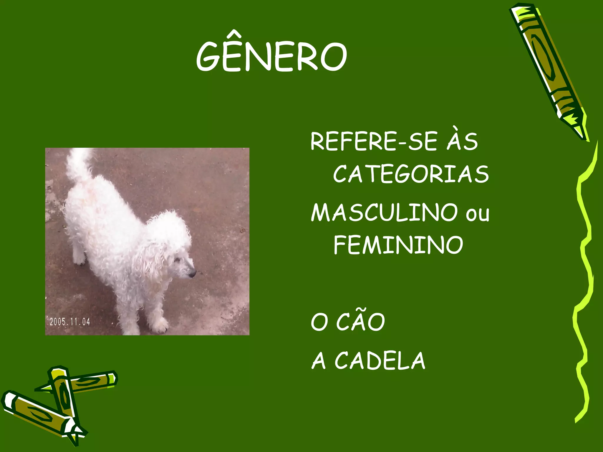 GÊNERO

    REFERE-SE ÀS
      CATEGORIAS
    MASCULINO ou
     FEMININO


    O CÃO
    A CADELA
 