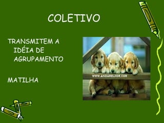 COLETIVO

TRANSMITEM A
 IDÉIA DE
 AGRUPAMENTO


MATILHA
 