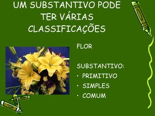 UM SUBSTANTIVO PODE
     TER VÁRIAS
  CLASSIFICAÇÕES
           FLOR


           SUBSTANTIVO:
           • PRIMITIVO
           • SIMPLES
           • COMUM
 
