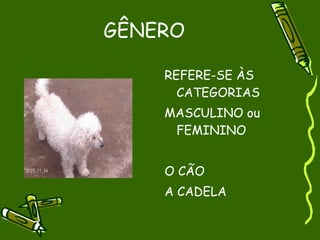 GÊNERO

    REFERE-SE ÀS
      CATEGORIAS
    MASCULINO ou
     FEMININO


    O CÃO
    A CADELA
 
