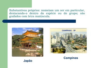 Substantivos próprios: nomeiam um ser em particular,
destacando-o dentro da espécie ou do grupo; são
grafados com letra maiúscula.




                                     Campinas
         Japão
 