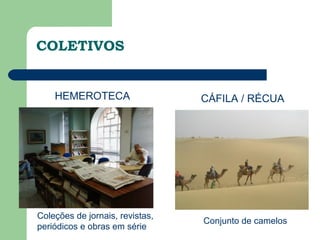 COLETIVOS


    HEMEROTECA                   CÁFILA / RÉCUA




Coleções de jornais, revistas,
                                 Conjunto de camelos
periódicos e obras em série
 