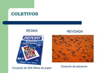 COLETIVOS


          RESMA                       REVOADA




                                  Conjunto de pássaros
Conjunto de 500 folhas de papel
 