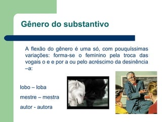 Gênero do substantivo

  A flexão do gênero é uma só, com pouquíssimas
  variações: forma-se o feminino pela troca das
  vogais o e e por a ou pelo acréscimo da desinência
  –a:


lobo – loba
mestre – mestra
autor - autora
 