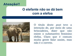 Atenção!!
            O elefante não se dá bem
                  com a elefoa


                  O título deste post teve a
                  intenção de, por meio de uma
                  brincadeira, dizer que não
                  existe o substantivo feminino
                  elefoa. Claro que é comum
                  muita gente falar assim, mas
                  não é o correto.
 