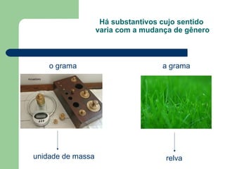 Há substantivos cujo sentido
                   varia com a mudança de gênero



    o grama                         a grama




unidade de massa                    relva
 