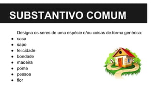 SUBSTANTIVO COMUM
Designa os seres de uma espécie e/ou coisas de forma genérica:
● casa
● sapo
● felicidade
● bondade
● madeira
● ponte
● pessoa
● flor
 