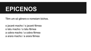 EPICENOS
Têm um só gênero e nomeiam bichos.
o jacaré macho / o jacaré fêmea
o tatu macho / o tatu fêmea
a cobra macho / a cobra fêmea
a arara macho / a arara fêmea
 