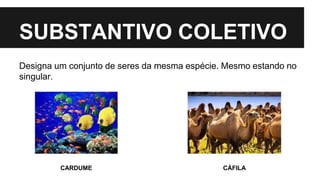 SUBSTANTIVO COLETIVO
Designa um conjunto de seres da mesma espécie. Mesmo estando no
singular.
CARDUME CÁFILA
 