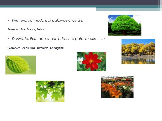 Girassol é substantivo simples ou composto Girassol é substantivo simples ou composto