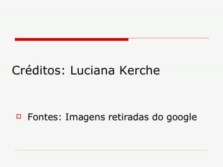 Créditos: Luciana Kerche Fontes: Imagens retiradas do google 