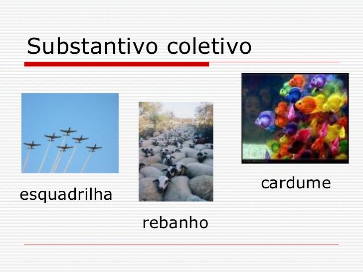 Substantivo próprio comum e coletivo