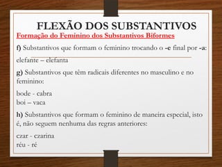 FLEXÃO DOS SUBSTANTIVOS
Formação do Feminino dos Substantivos Biformes
f) Substantivos que formam o feminino trocando o -e final por -a:
elefante – elefanta
g) Substantivos que têm radicais diferentes no masculino e no
feminino:
bode - cabra
boi – vaca
h) Substantivos que formam o feminino de maneira especial, isto
é, não seguem nenhuma das regras anteriores:
czar - czarina
réu - ré
 