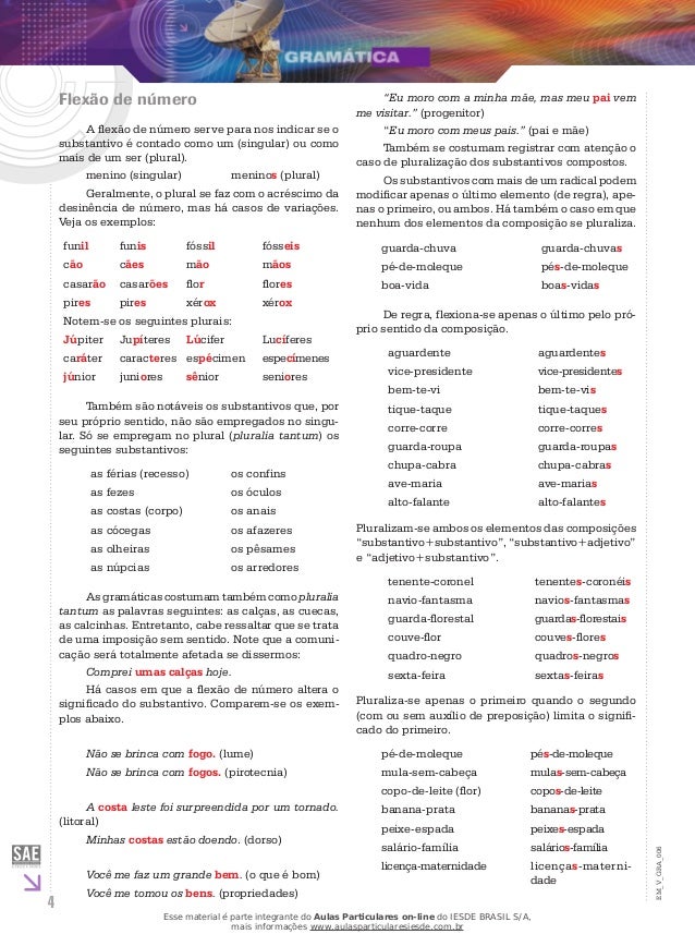 O Que é Substantivo E Adjetivo Exemplos